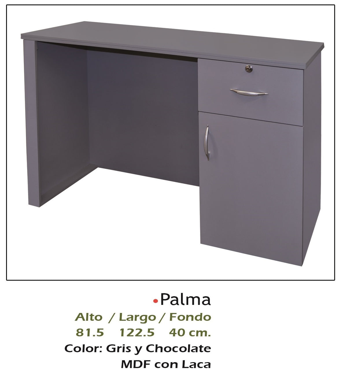 Escritorio Modelo Palma Gris - vista adicional del producto sobre fondo blanco